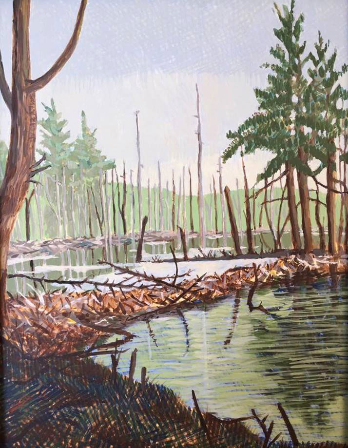 Beaver Dam by Jane Carr