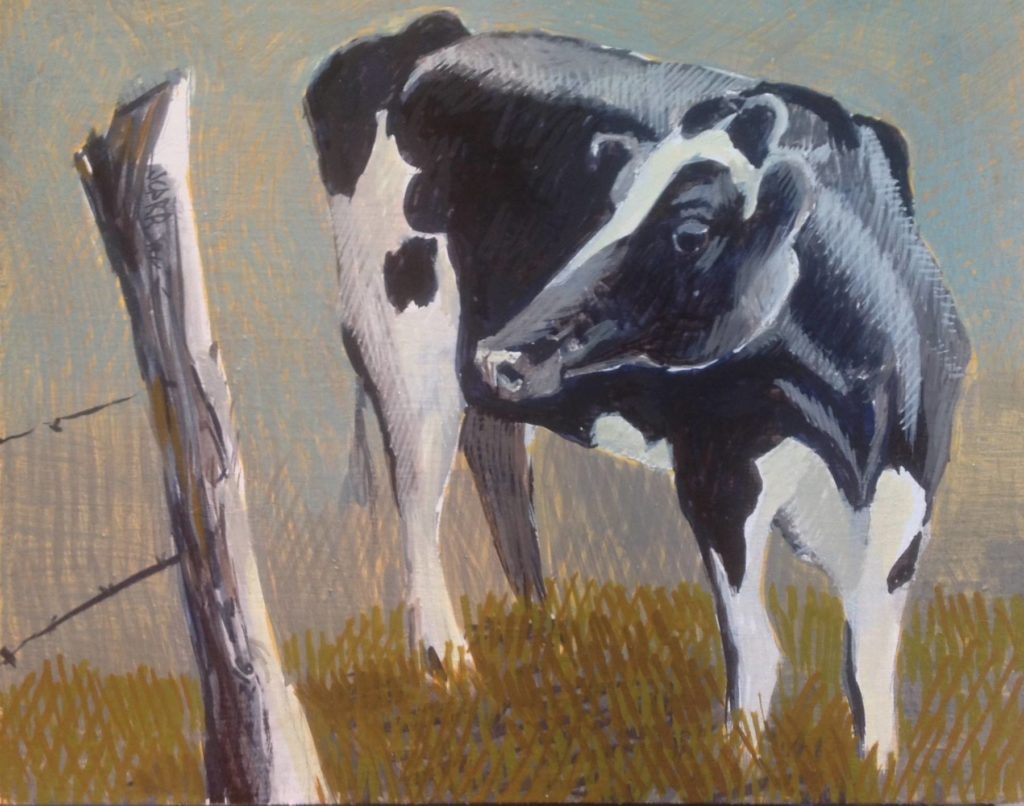 Cow 1 by Jane Carr