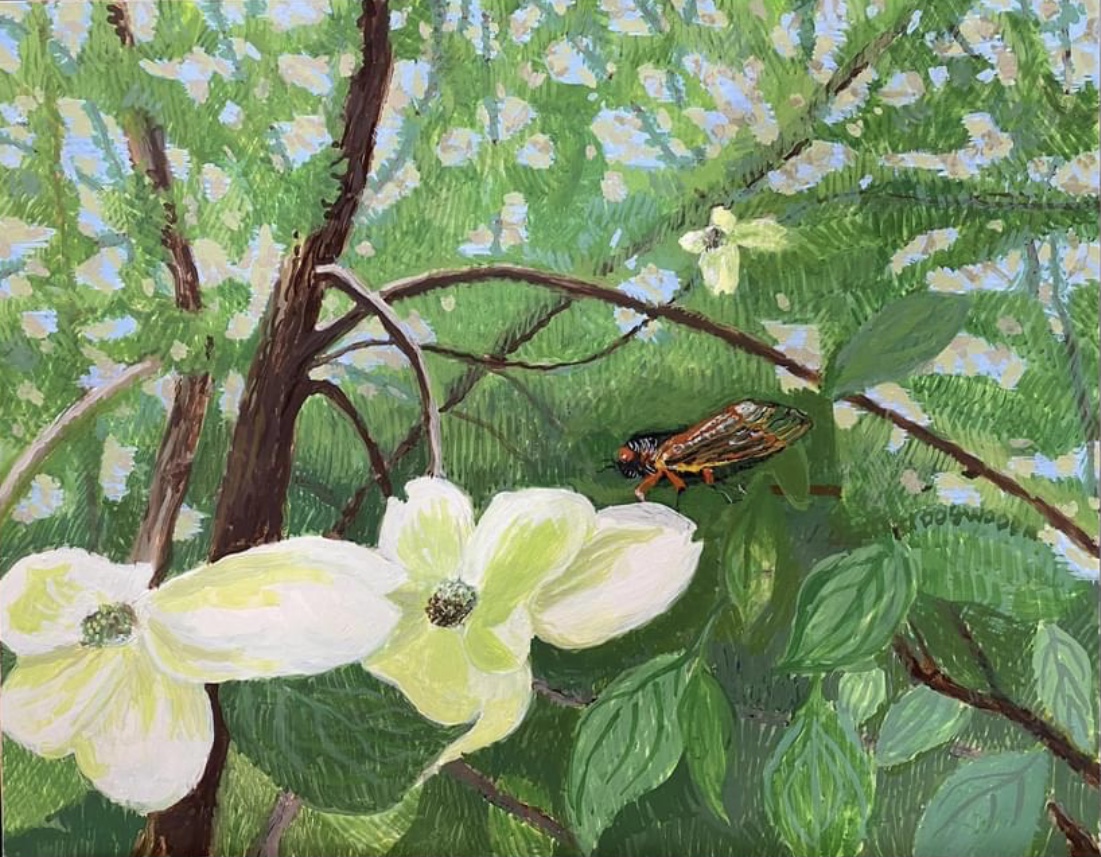 Dogwood and Cicada painting by Jane Carr