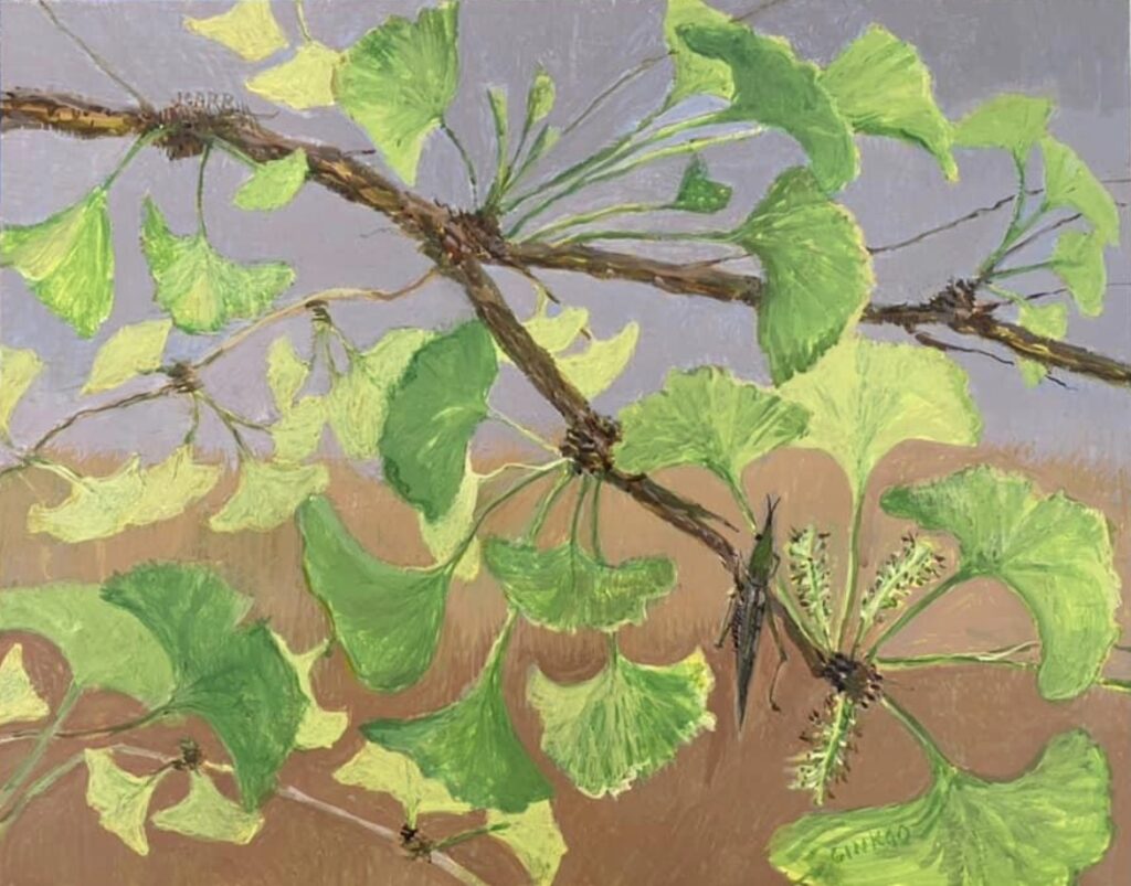 Ginkgo and Katydid painting by Jane Carr