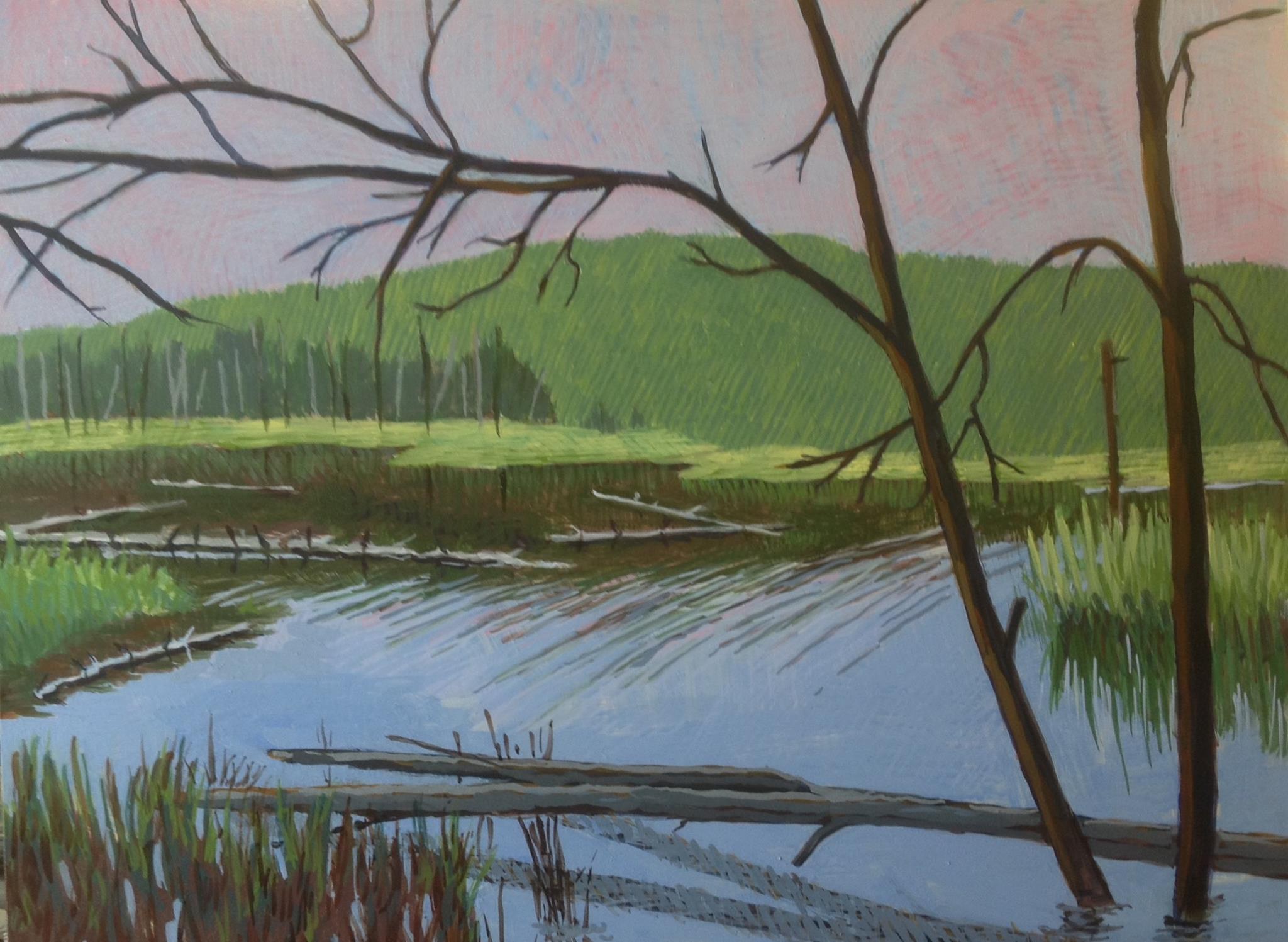 Marsh 2 by Jane Carr