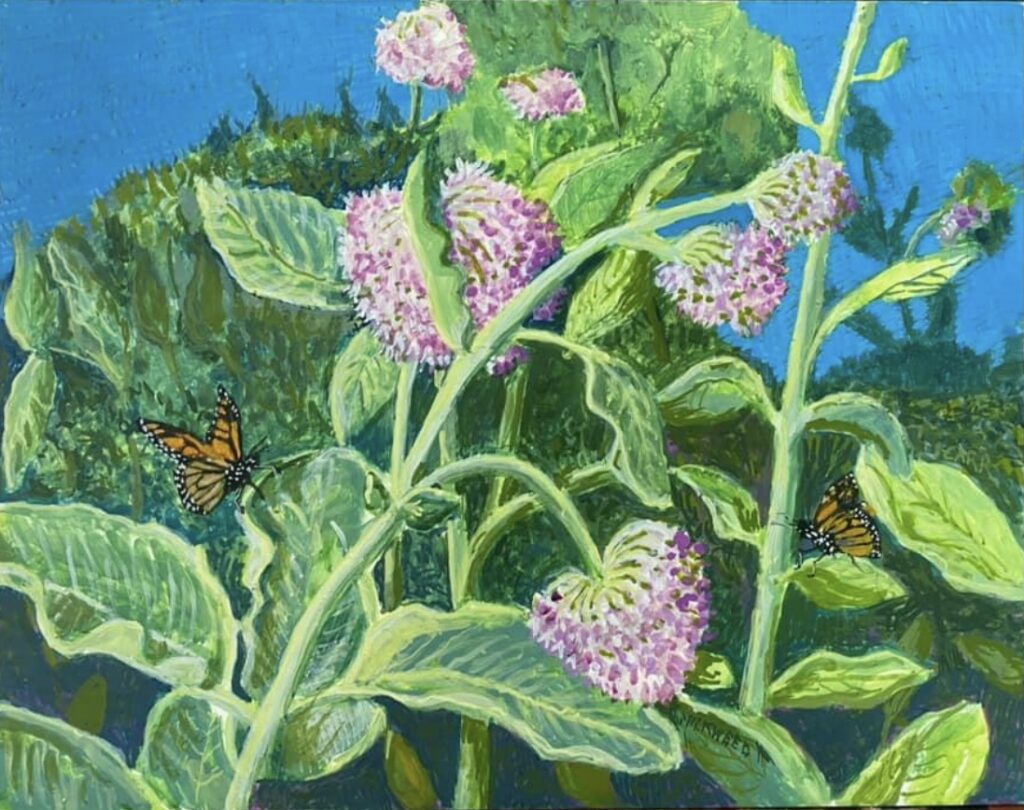Milkweed and Monarch painting by Jane Carr