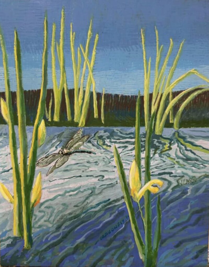 Water Iris and Dragonfly painting by Jane Carr