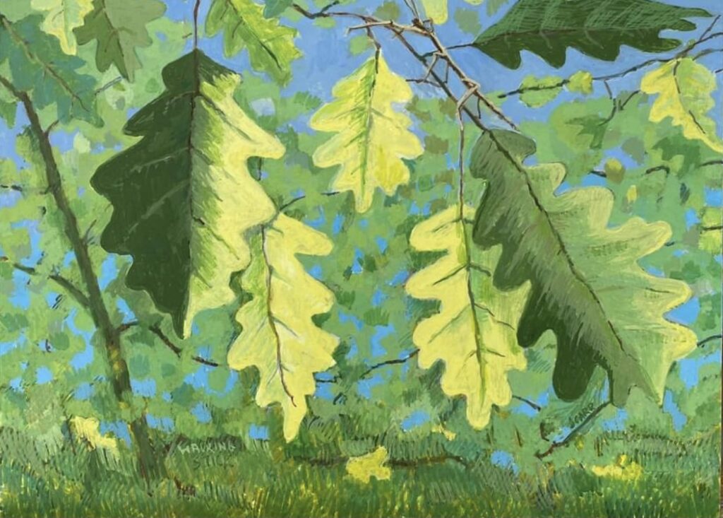 White Oak and Walking Stick painting by Jane Carr