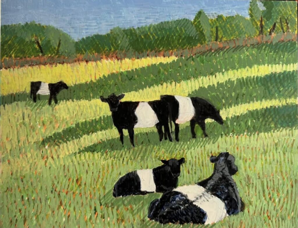 Belted Galloways by Jane Carr