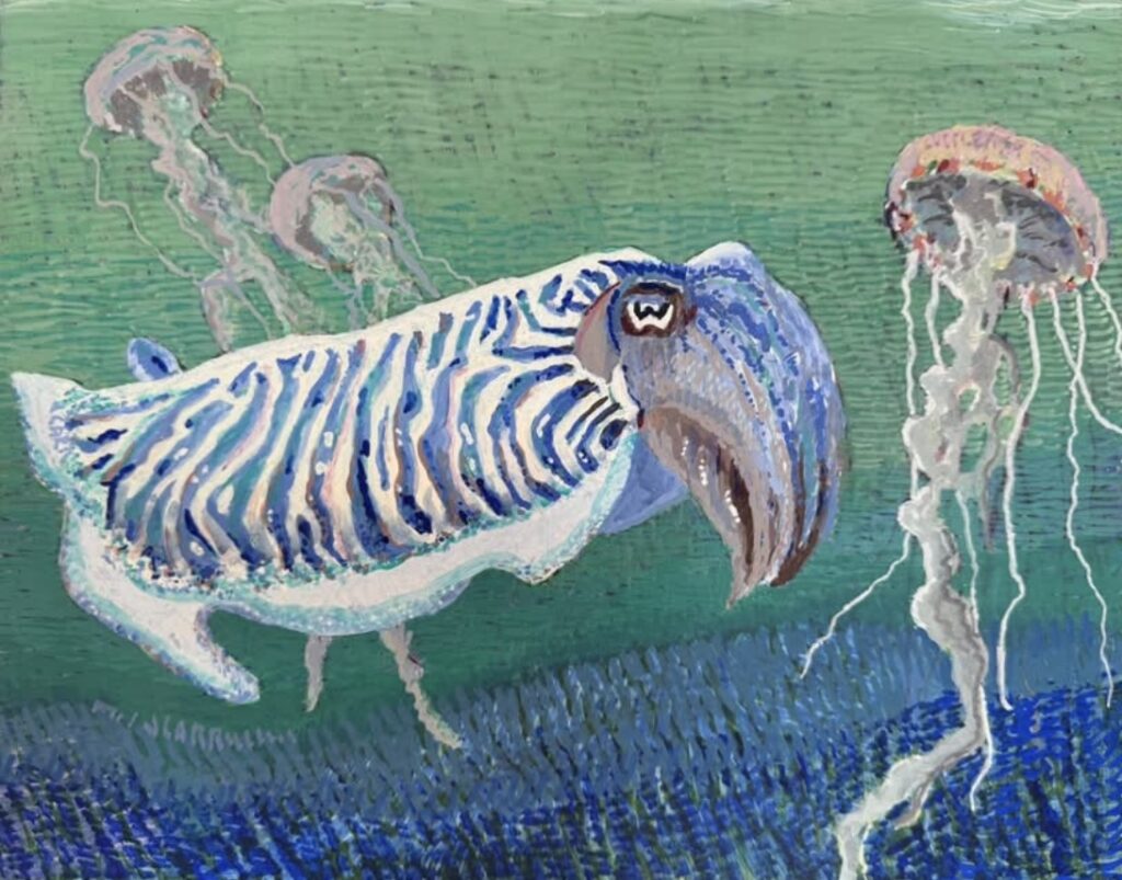 Cuttlefish, painting by Jane Carr