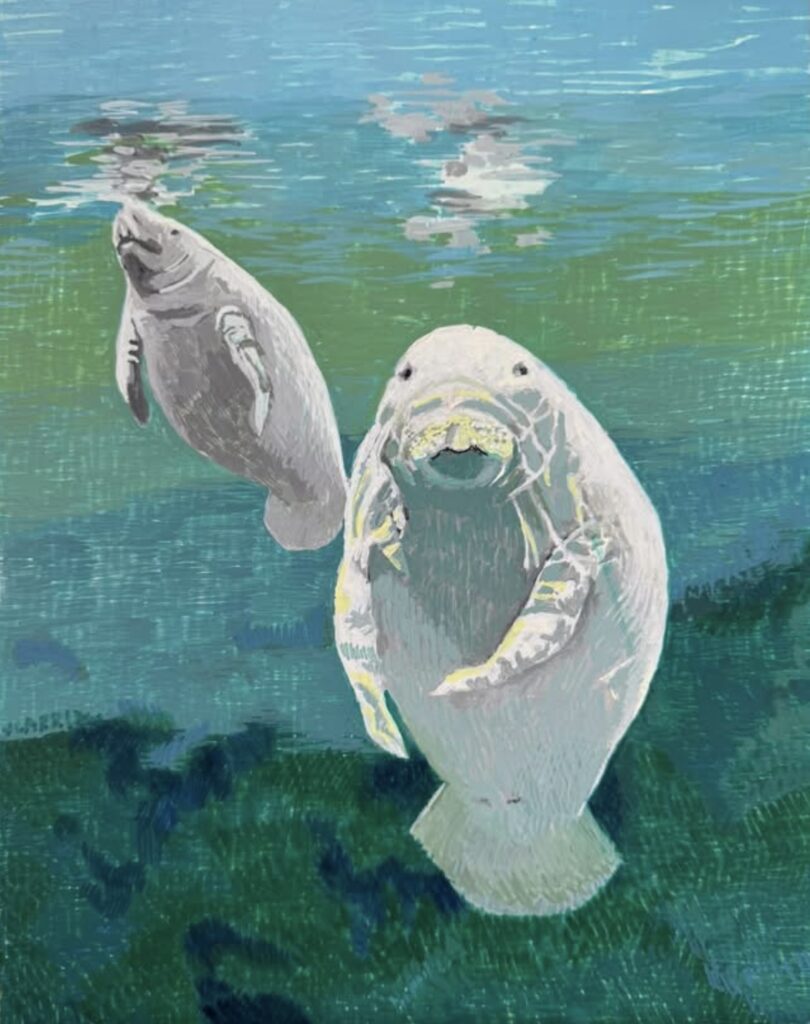 Manatees, painting by Jane Carr